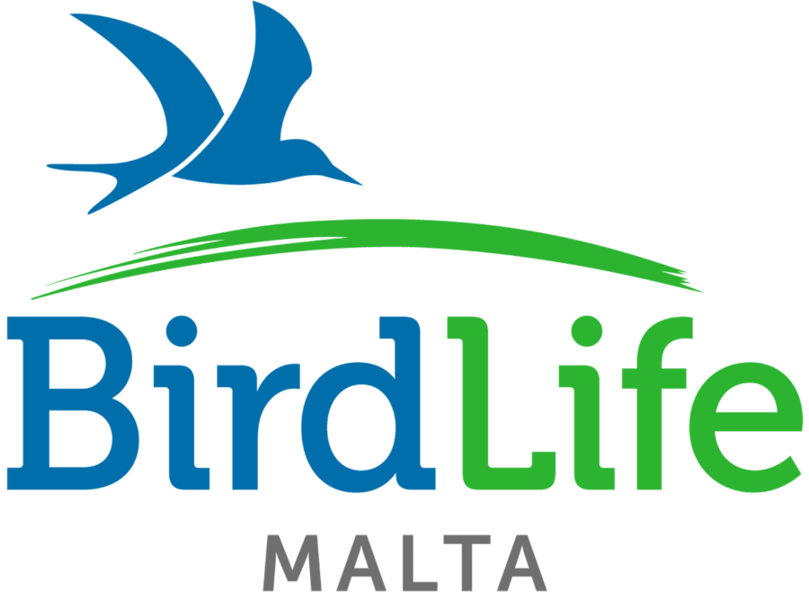 This image has an empty alt attribute; its file name is BirdLife-Malta-logo-rgb-large-_transparent-300x222.png