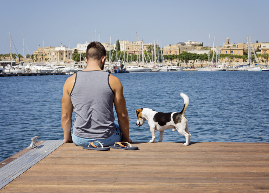 4 pet-friendly activities for the hot months