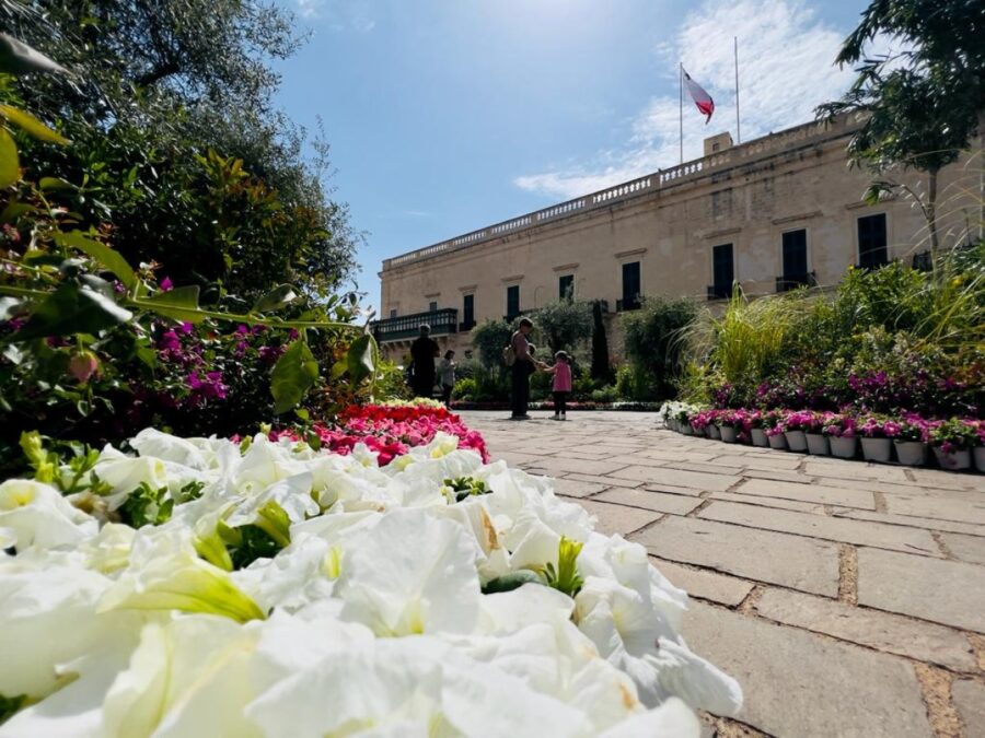 Fun events for you and your kids this weekend: May 5 to 7, 2023